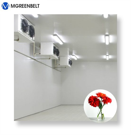 Hot sale Cold storage for meat