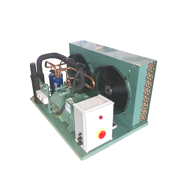 Bitzer Condensing Unit