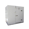 Stainless steel blast freezer for seafood and meat