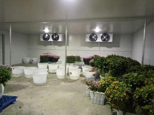 Fresh-Keeping-Cold-Room-Cold-Storage-for-Flower