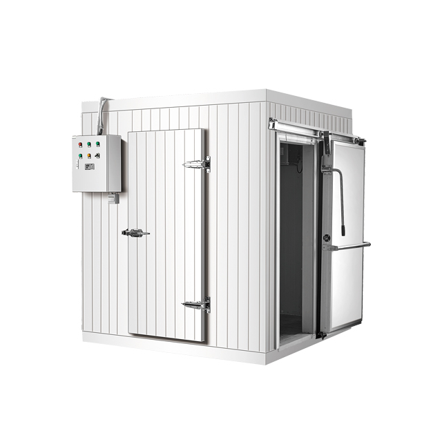 Low temperature Ice Cream Blast Freezer