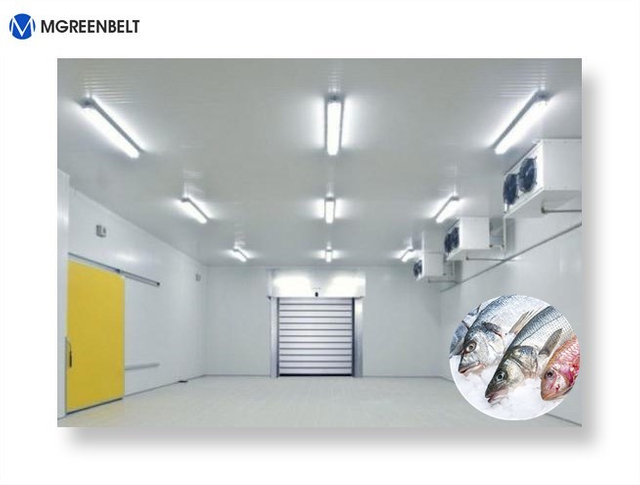 Freezer Storage for Fish