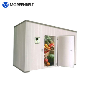 Freezer room for chicken