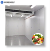  Customized Cold storage with condensing unit