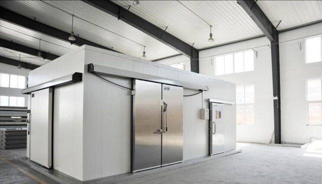 High quality Cold room for meat