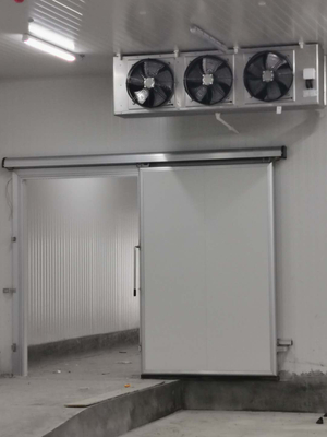 微信图片_20200817162845.jpg
