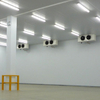 Freezer Room for Beef and Chicken