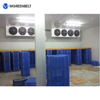 Freezer Room for Beef and Chicken