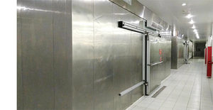 Stainless steel blast freezer for seafood and meat