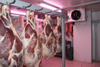 High quality Cold room for meat