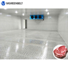 Mgreenbelt Beef Blast Freezer with Refrigeration Equipment