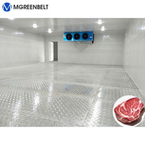 Walk in Freezer for Meat 